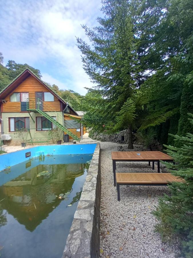 Mecsek Apartman *