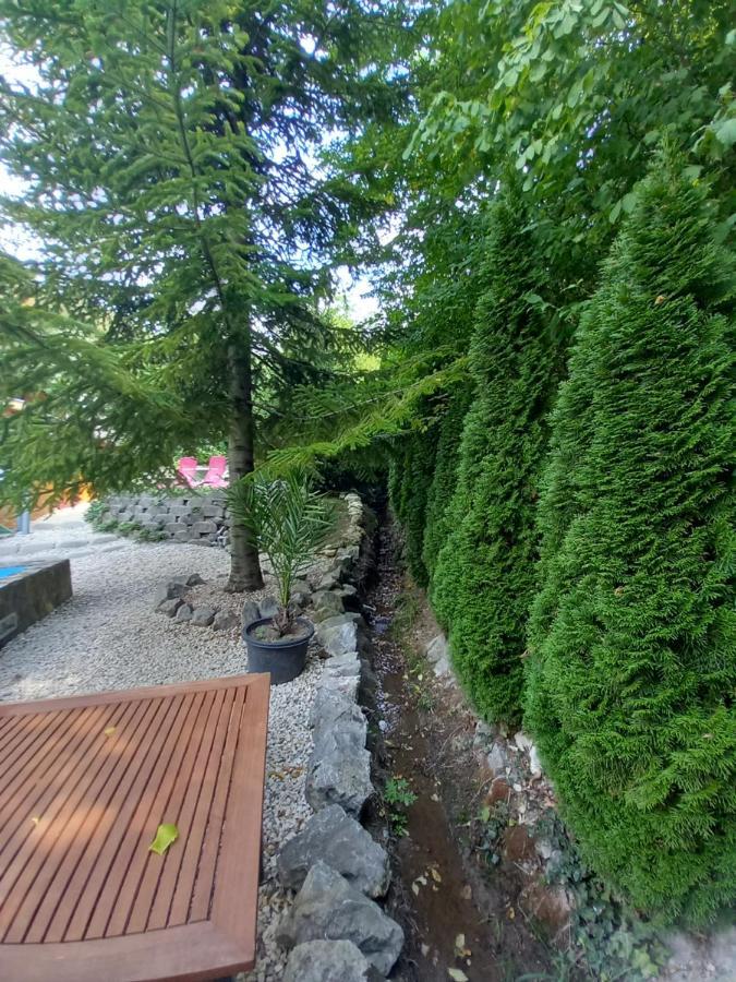 Apartamento Mecsek Pécs