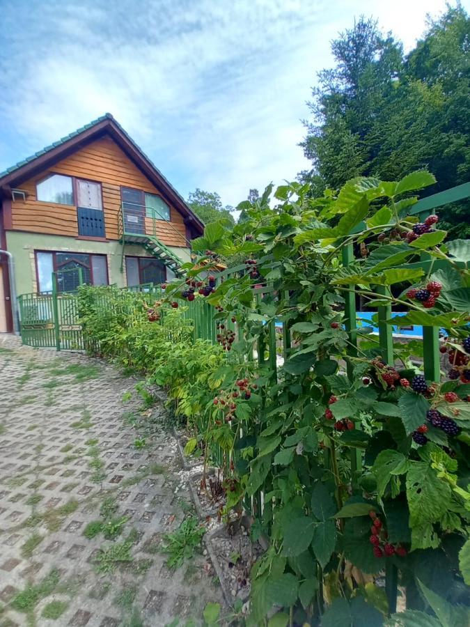 Mecsek Apartment Pecs